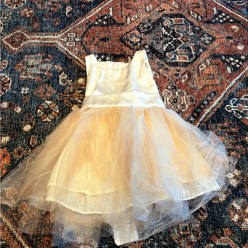 Elegant Cream and Gold Tulle Dress